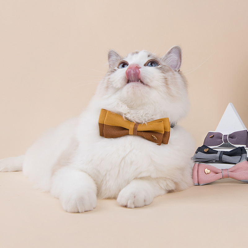 新款可调节宠/双层蝴蝶结拼/狗脖圈项圈一细节图