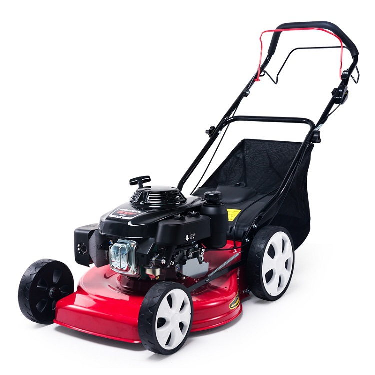 Gxv160 Power Lawn Mower Lawn Mower Four-Stroke Gasoline Self-Propelled Hand Push Mower Lawn Mower Lawn Mower Item Picture