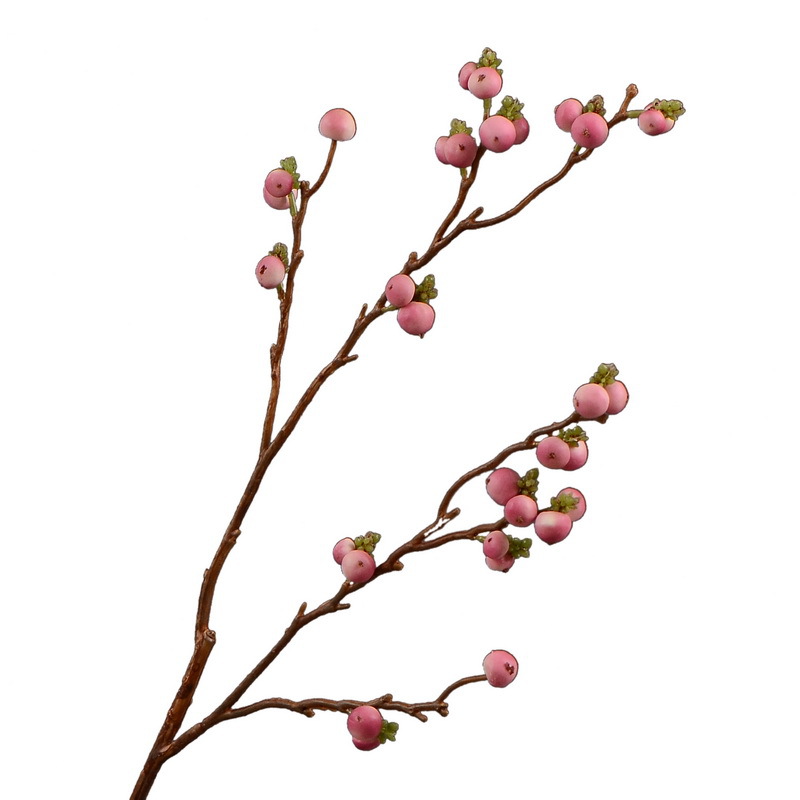 Dongli Wholesale Factory Director Direct sales of artificial ginkgo nuts, artificial flowers, wholesale of artificial flowers, home decorations, living room and dining room flower arrangements, flower art, artificial berries and fruits, one-piece consignment Item Picture