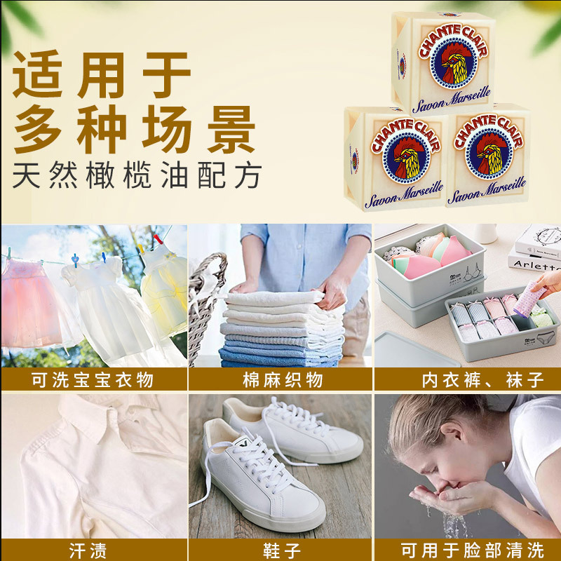 一般贸易意大细节图