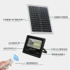 Solar floodlights, outdoor waterproof garden lights, LED treasure POTS, sensor lights, new rural road lighting, solar lights details Picture