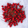 【10mm红樱果】 人造泡沫插花珠光果 仿真石榴果 圣诞用品厂家图