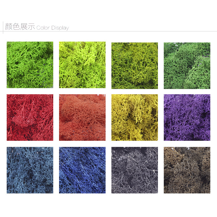 Nordic Style Antler Moss Color Immortal Moss Wall Handmade Diy Micro Landscape Decoration Material Moss Item Picture