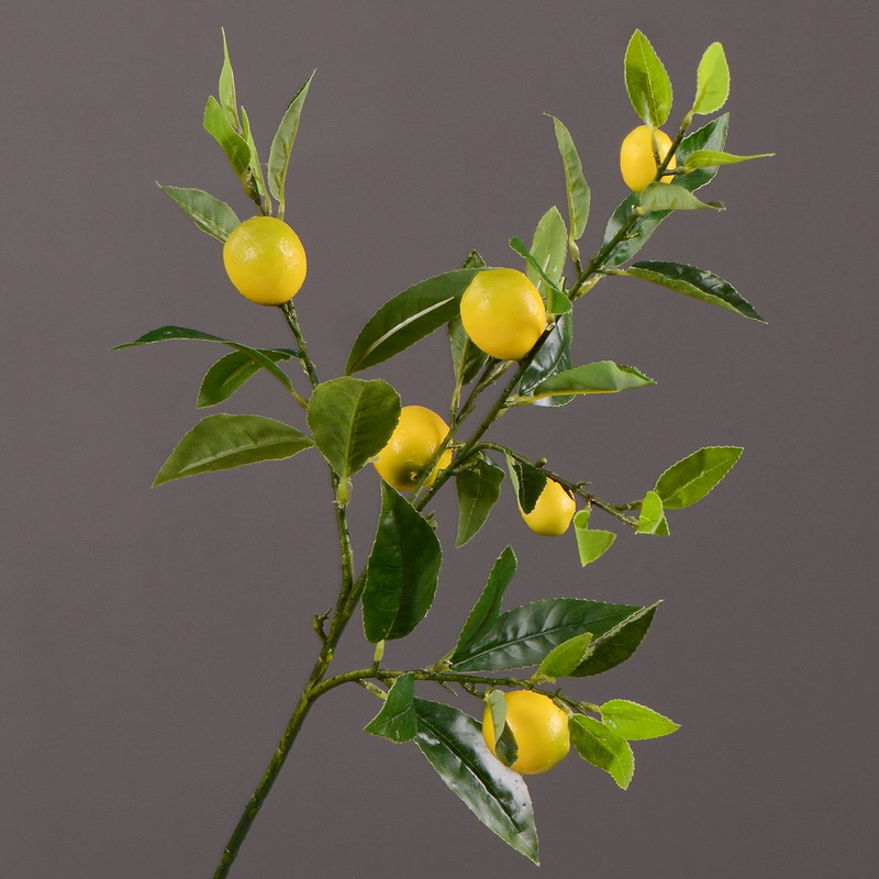 仿真果实实物图