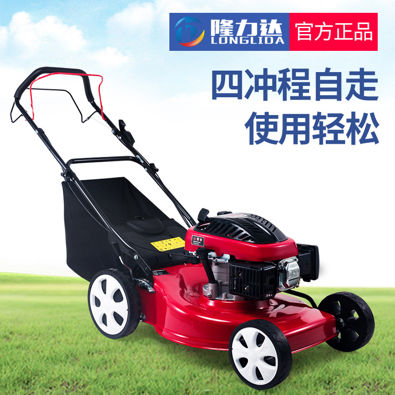 Gxv160 Power Lawn Mower Lawn Mower Four-Stroke Gasoline Self-Propelled Hand Push Mower Lawn Mower Lawn Mower