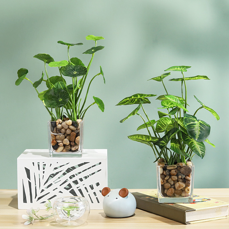 批发小清新玻璃瓶四叶草万年青仿真绿植盆栽摆件家居装饰桌面摆设仿真盆栽