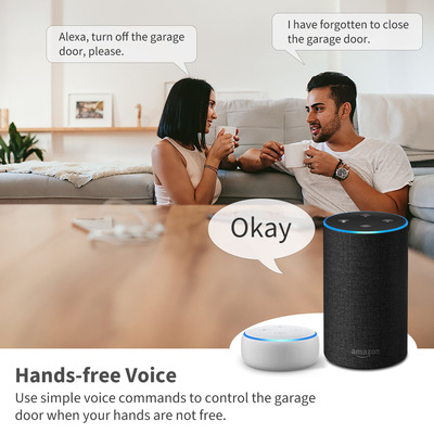 Doodle Smart WIFI smart warehouse door controller remote voice timing control Amazon Application Scenario