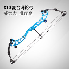 X10宗师复合滑轮弓 户外运动竞技弓箭比赛射箭射击弓箭套装