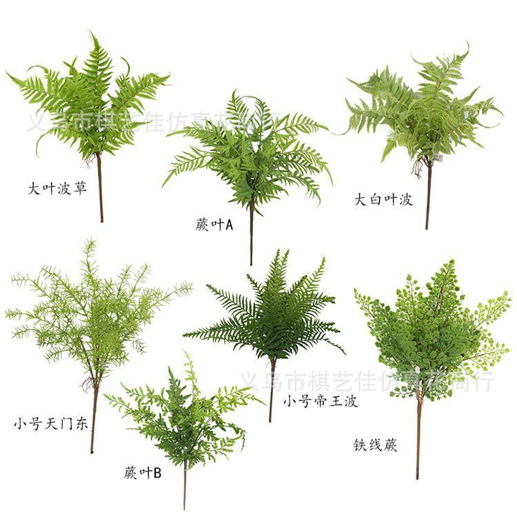 仿真植物背景墙草坪插花单支绿植塑料叶子餐厅客厅装饰蕨类假花草