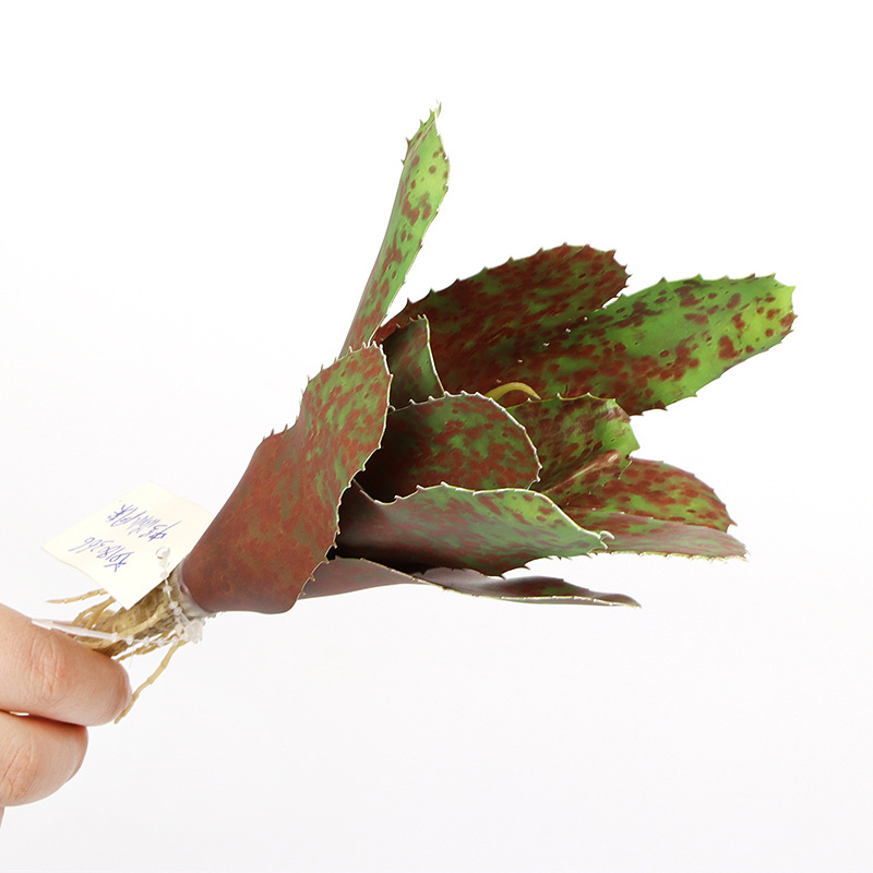 Nordic Wind Simulation Succulent Plant Furniture Decoration Balcony Potted Decoration Plant Dripping Bromeliad Factory Direct Sales Application Scenario