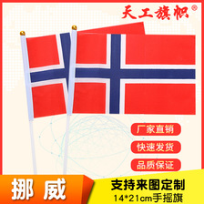 8号14*21cm挪威手摇国旗  世界各国国旗 定做旗帜