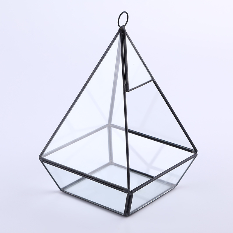 Manufacturers Direct Sales New Trend Transparent Glass Micro Landscape Succulent Plants Home Decoration Geometric Landscape Application Scenario