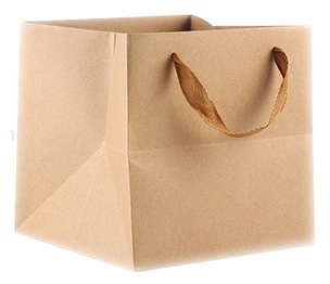 礼品袋/纸袋/袋子/牛皮纸外卖袋/牛皮纸袋细节图