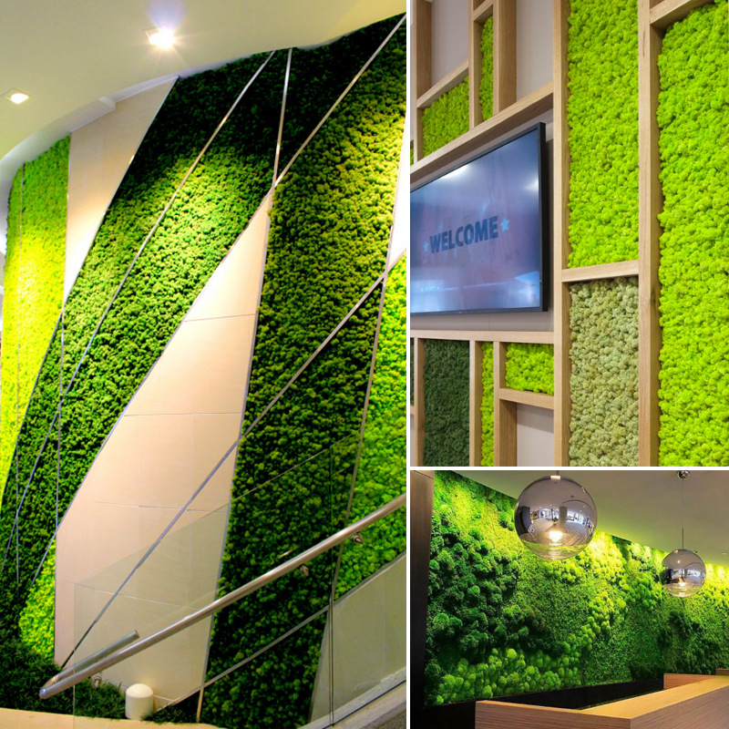 Nordic Style Antler Moss Color Immortal Moss Wall Handmade Diy Micro Landscape Decoration Material Moss Specification drawing