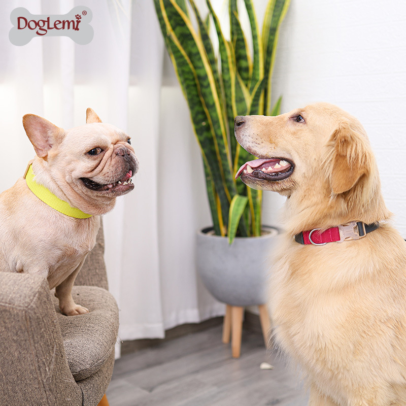 INS宠物项细节图