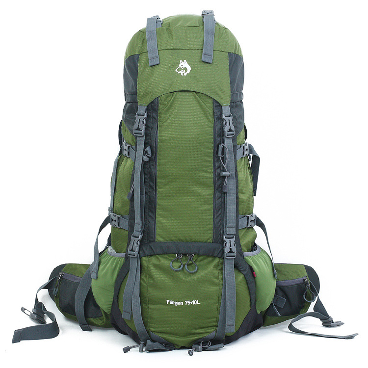 Foreign Trade Jungle King Outdoor Hiking Bag Waterproof Backpack Backpack Heavy Hiking Backpack Large Travel Backpack details Picture