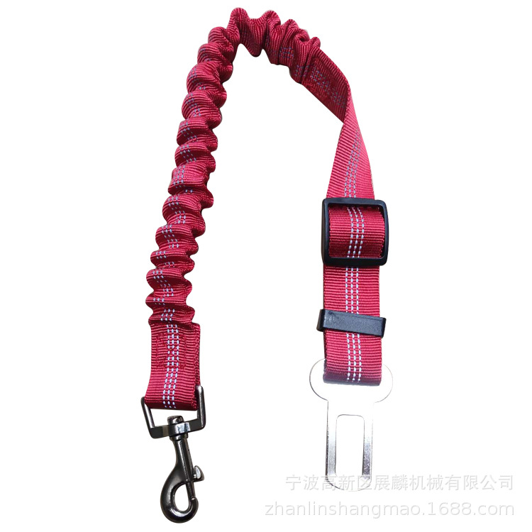 亚马逊宠物绳/弹力宠物带伸/夜光车用白底实物图