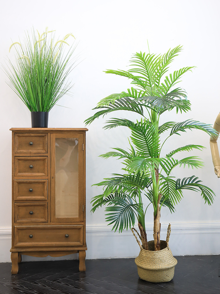 仿真植物实物图