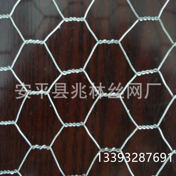 Hexagonal stainless steel metal decorative galvanized breeding wire mesh manufacturer, hexagonal wedding-shaped twisted flower chicken breeding mesh details Picture