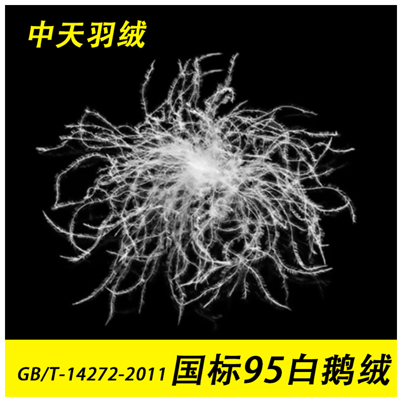 羽绒厂家直销水洗95白鹅绒新国标羽绒服装标95绒全国过检高蓬松