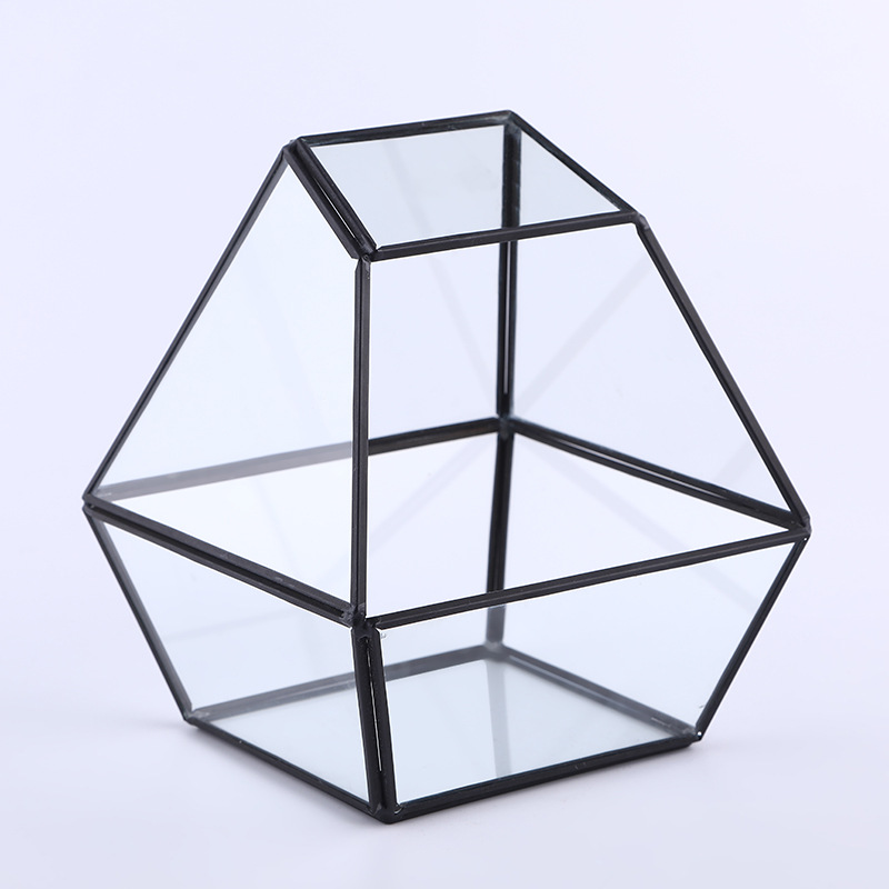 Manufacturers Direct Sales New Trend Transparent Glass Micro Landscape Succulent Plants Home Decoration Geometric Landscape details Picture