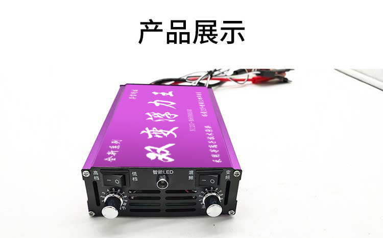 Factory direct supply X120-986000 dual-inverter head high-power 12V energy-saving intelligent battery voltage booster pic 8