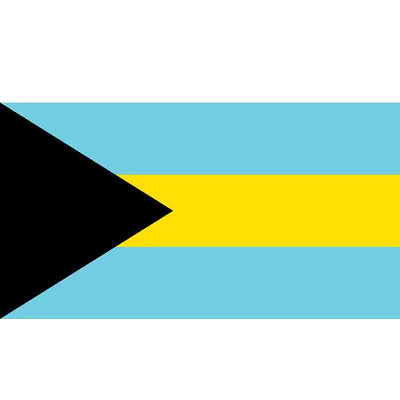 厂家供应8号14*21cm巴哈马群岛手摇国旗  世界各国国旗旗帜详情图4