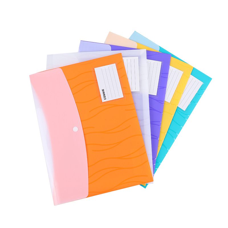 Koni two-color file bag, a4 semi-transparent file bag, PP snap file and information bag, double insert bag for storage 6032