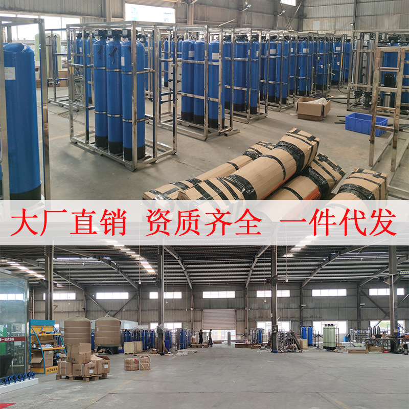 大型净水反渗透纯水设备工业商用净水器实验室EDI超纯水过滤设备laegereverseosmosispurewater