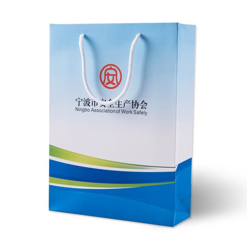 Handbag Paper Bag Custom Logo Corporate Clothing Gift Bag Wholesale Advertising Shopping White Card Packaging Bag Custom Item Picture