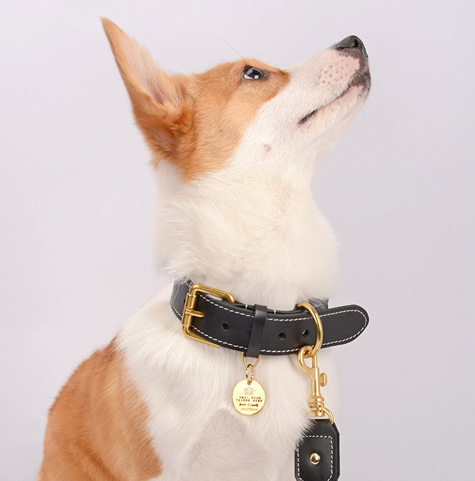 钛钢宠物猫猫产品图