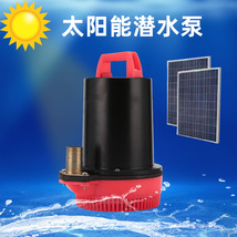 太阳能浇花水泵 多功能电瓶水泵