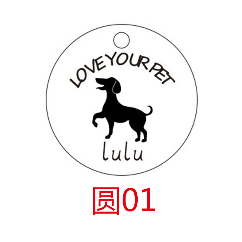 钛钢宠物猫猫白底实物图