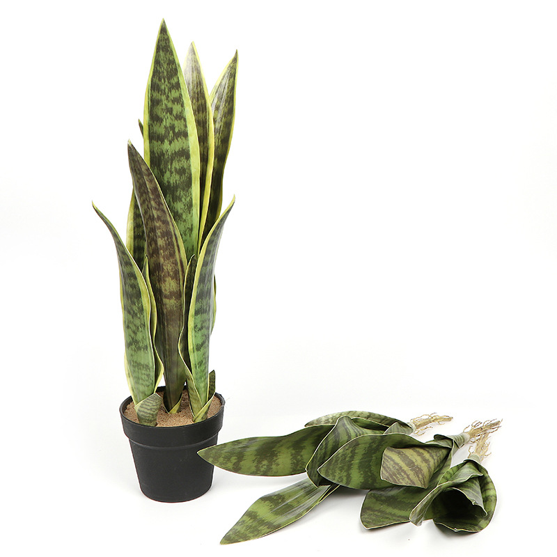 Simulation Flower Tiger Pilan Nordic Ins Green Plant Indoor Bonsai Living Room Simulation Succulent Plant Manufacturers Direct Sales