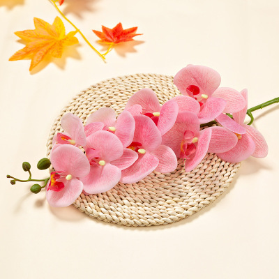 Artificial Phalaenopsis artificial flower home decoration artificial flower hand feel film 9-head Phalaenopsis artificial flower factory wholesale Application Scenario