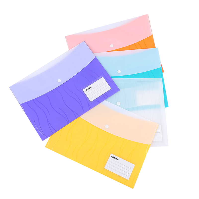 Koni two-color file bag, a4 semi-transparent file bag, PP snap file and information bag, double insert bag for storage 6032 Application Scenario