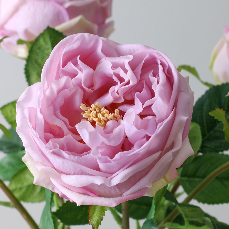 雪柳花/假花塑料花/玫瑰花手工材料/兰桂坊/绢花产品图