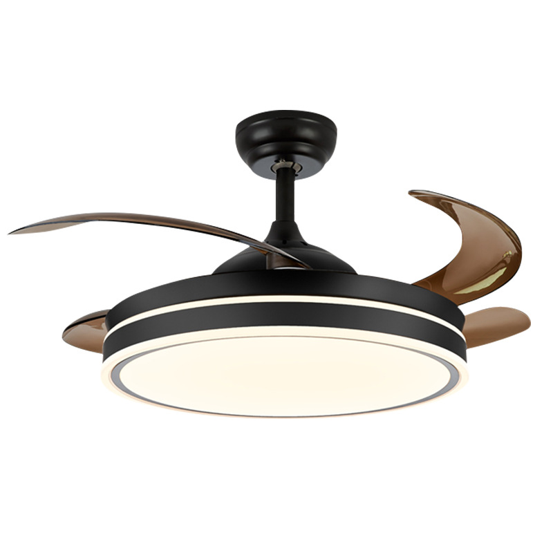 import白底实物图