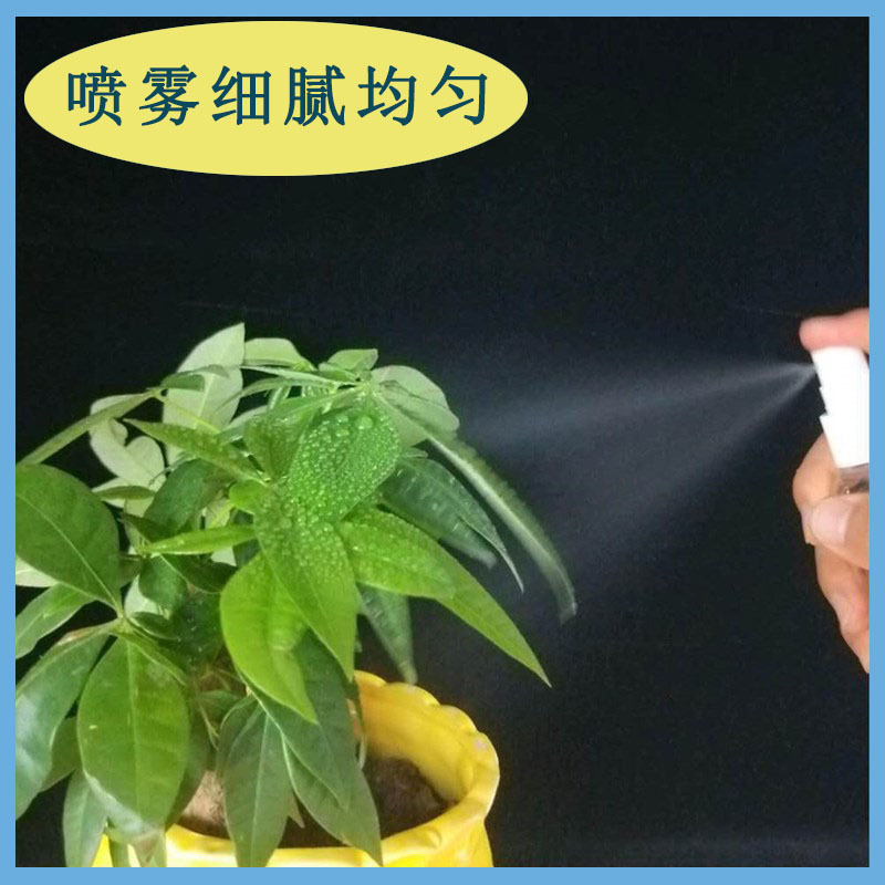 import细节图