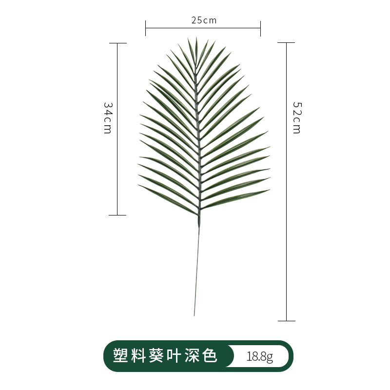import产品图