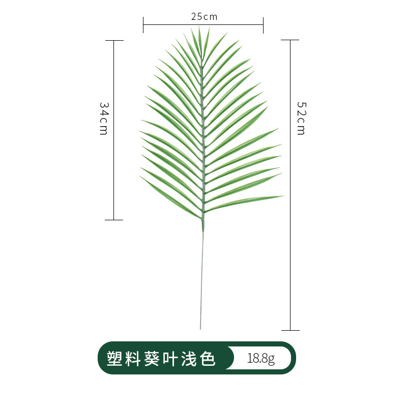 import细节图