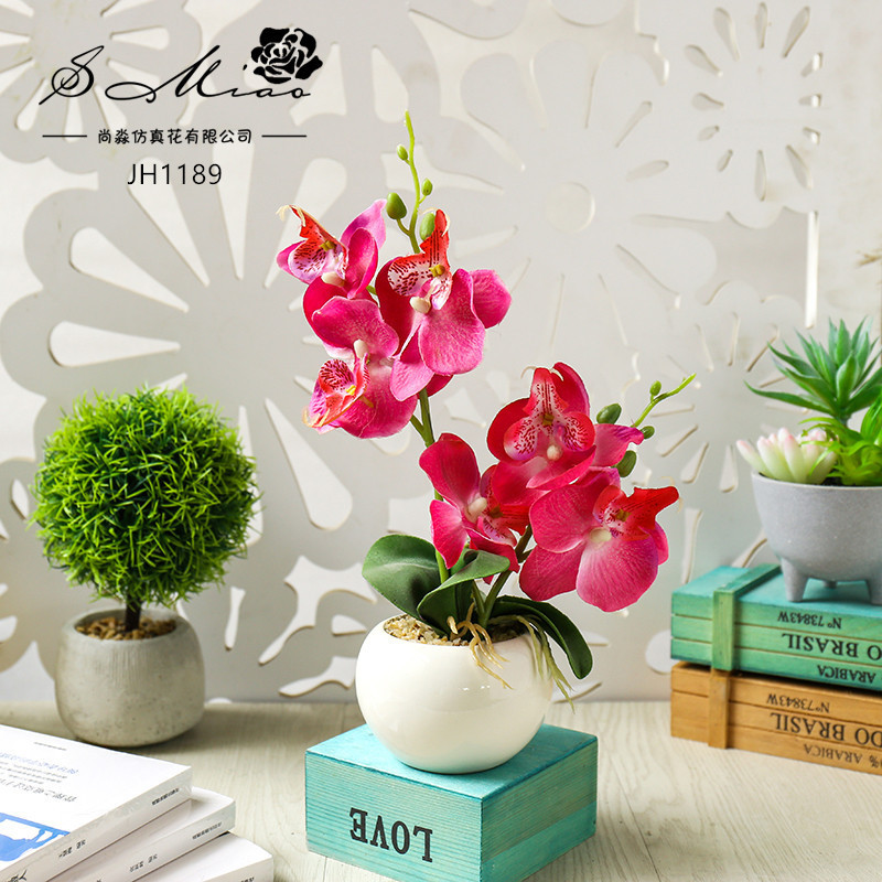 النباتات المزيفة هي الزهور الطبيعية، details Picture