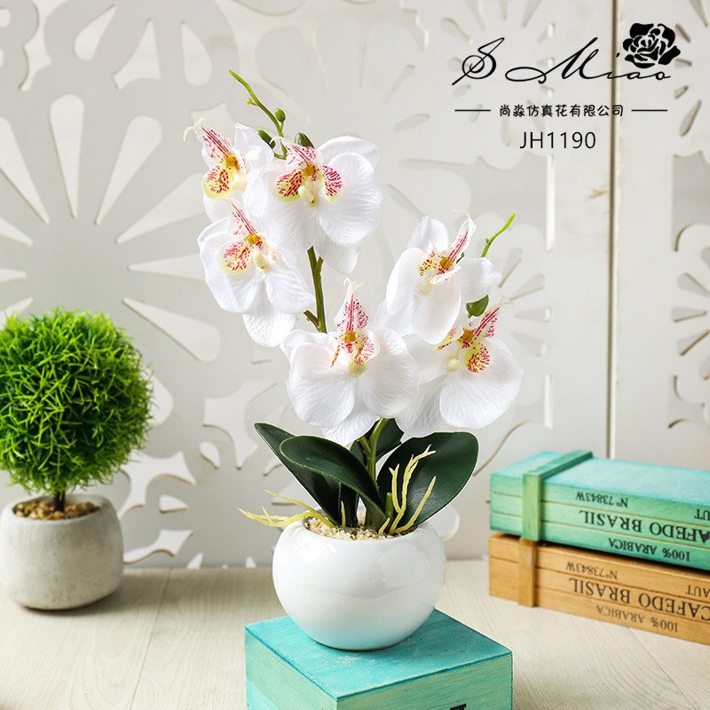 النباتات المزيفة هي الزهور الطبيعية، Specification image