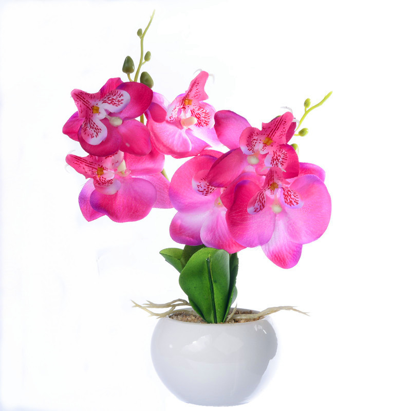 النباتات المزيفة هي الزهور الطبيعية، Item Picture