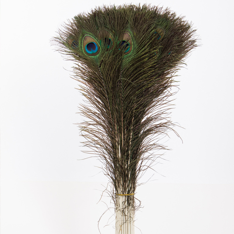 Peacock feathers 90-100 cm long, flower arrangement, home decoration, DIY handicrafts, long peacock feathers Application Scenario