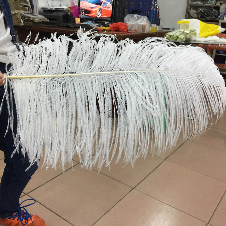 羽毛/羽绒/森尔服装/鸵鸟毛/羽毛布带产品图