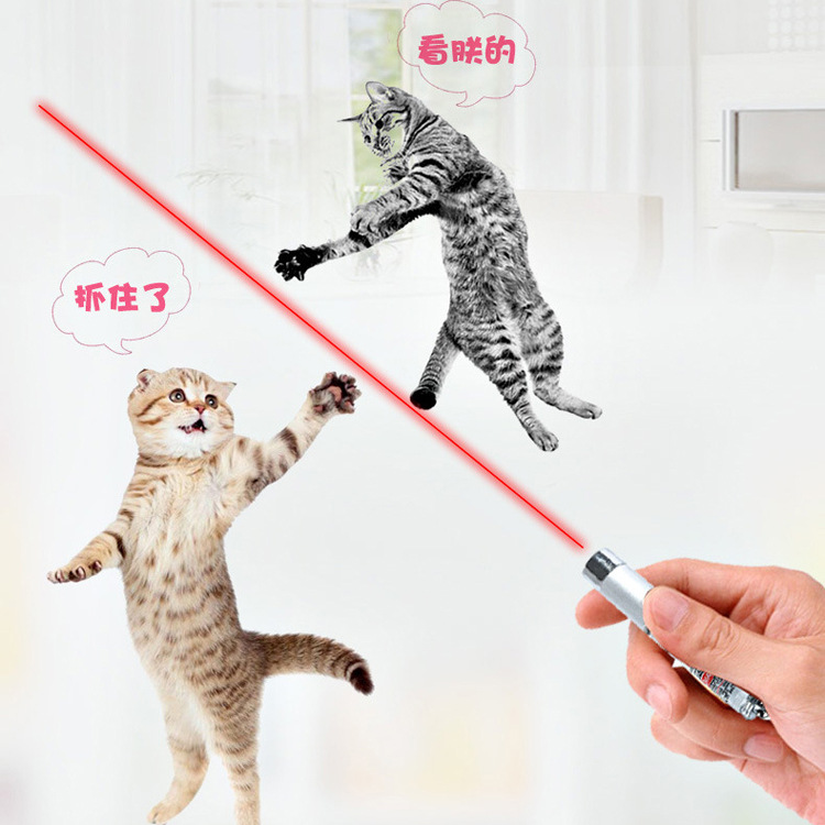 激光笔实物图