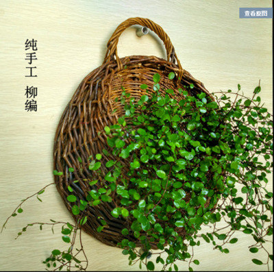 花盆/艺术花盆/塑料花盆/移动种植箱/仿真花盆产品图