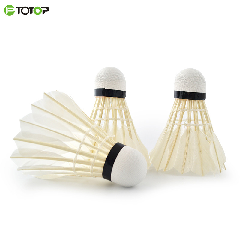 Breakthrough badminton 12 goose feather manufacturers direct family student sports fitness sporting goods wholesale hair Application Scenario