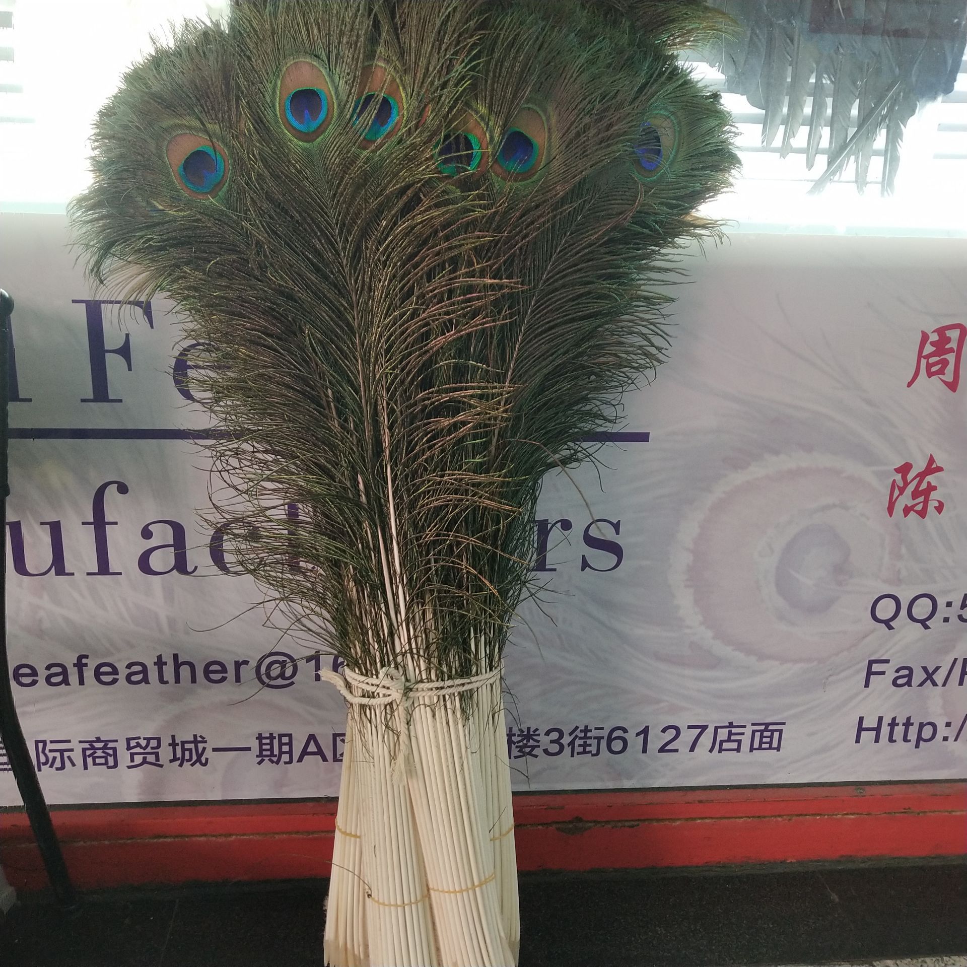 厂家供应孔雀毛70-80厘米花瓶插花摆件 孔雀羽毛批发 羽毛辅料